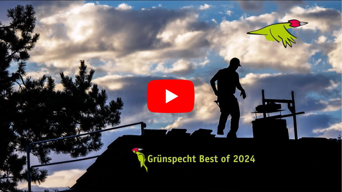 Video abspielen