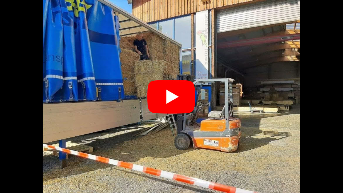 Video abspielen
